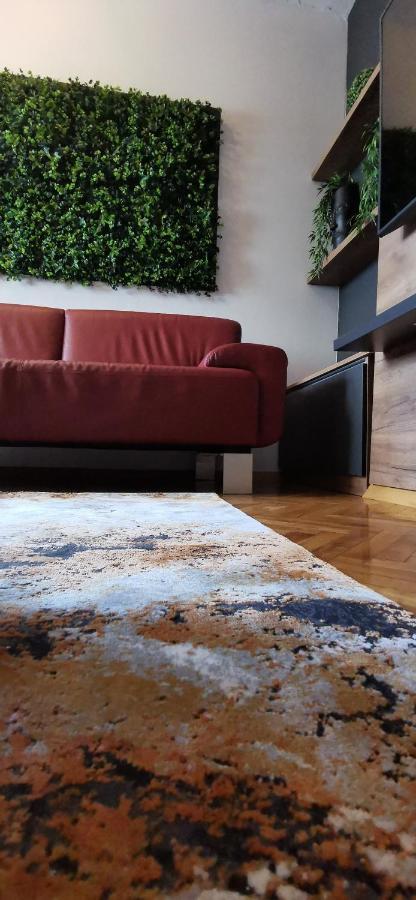 Apartman Wolf فاغاشدين المظهر الخارجي الصورة